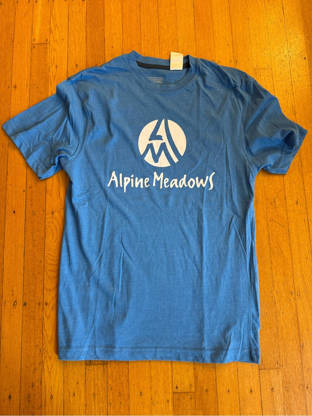 Alpine Meadows Lake Tahoe Ski Resort OG Original Blue Logo Tee Mens Small S